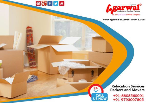 Packing and Moving Services Singrauli